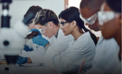 Foto iniciação científica